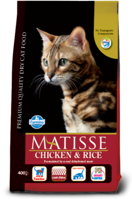 Matisse Adult Chicken&Rice